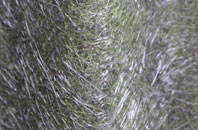 Brookwood fibreglass roof work